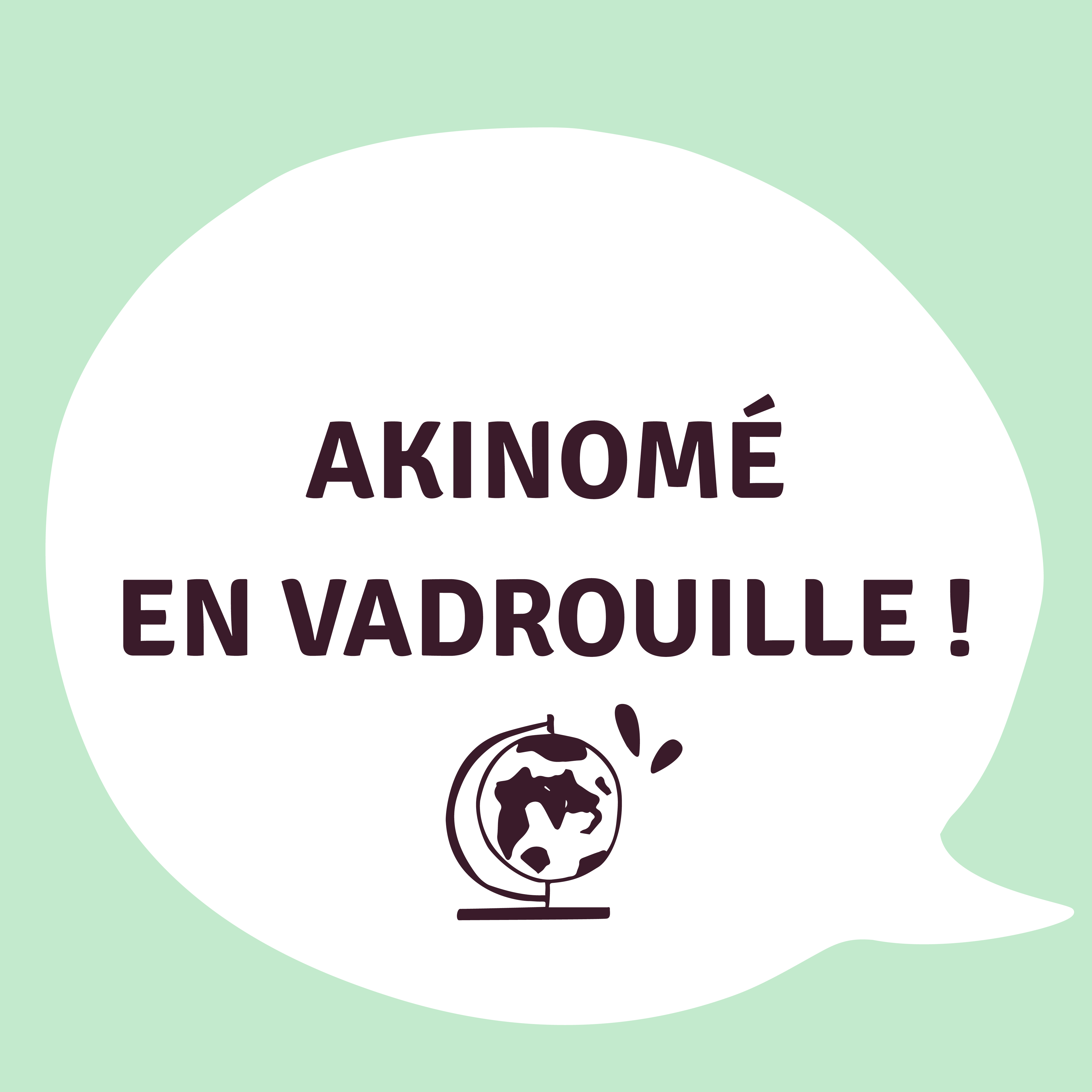 Gabarit insta web akinomeenvadrouille